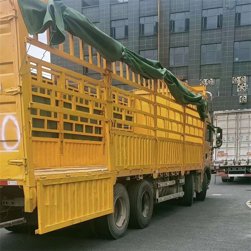 河南洛阳洛龙至宜宾货运专线一站式物流服务，让货物畅行无忧
